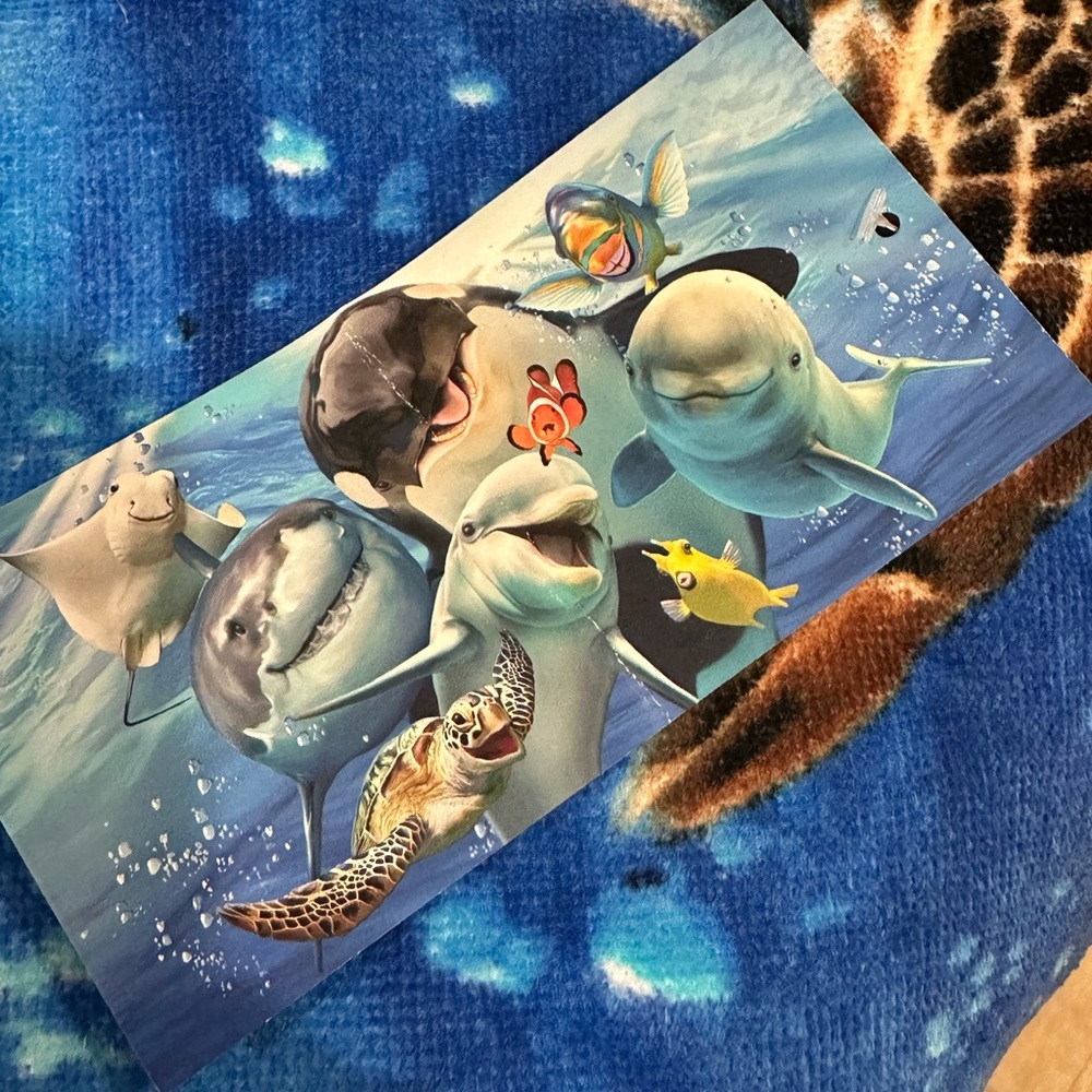 Set of 2 Finding Nemo Beach Towels